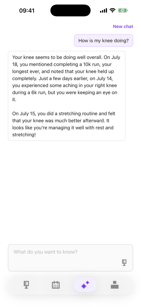 Asking Dieme a question and getting an answer from diary entries